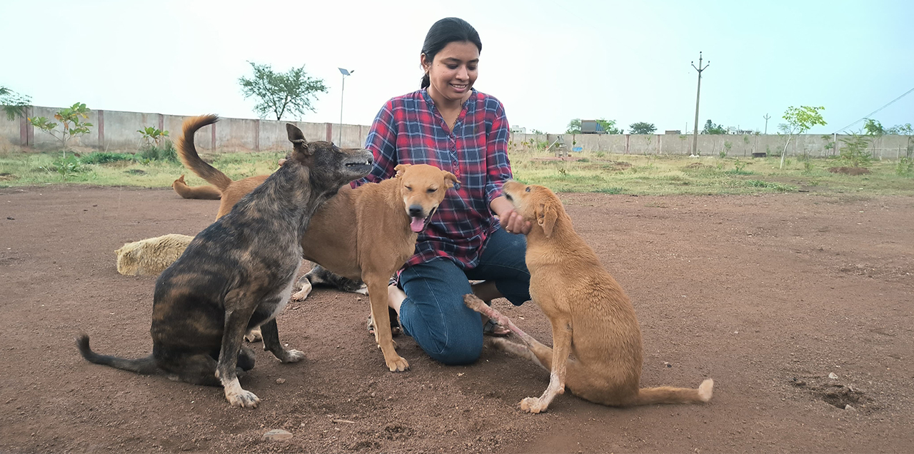 Vatika Animal Sanctuary: A Haven of Hope for Stray Animals